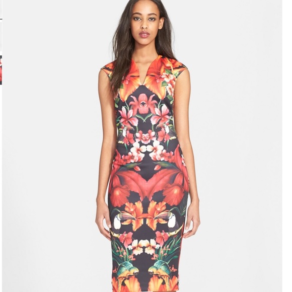 Ted Baker Dresses & Skirts - Ted Baker Bismii Toucan Print Sheath Dress